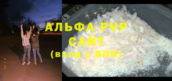 стаф Дмитров