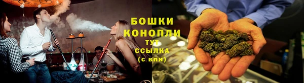 ПСИЛОЦИБИНОВЫЕ ГРИБЫ Дмитровск