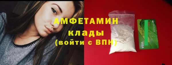стаф Дмитров