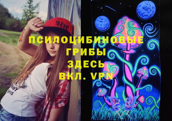 стаф Дмитров