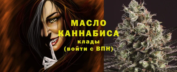 стаф Дмитров