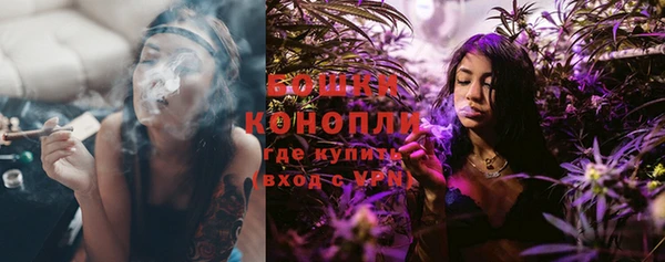 стаф Дмитров