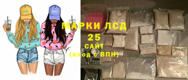 стаф Дмитров
